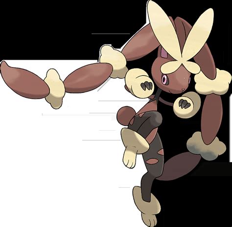 lopunny mega evolution|can you find a wild lopunny.